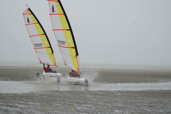 dsc08162.jpg