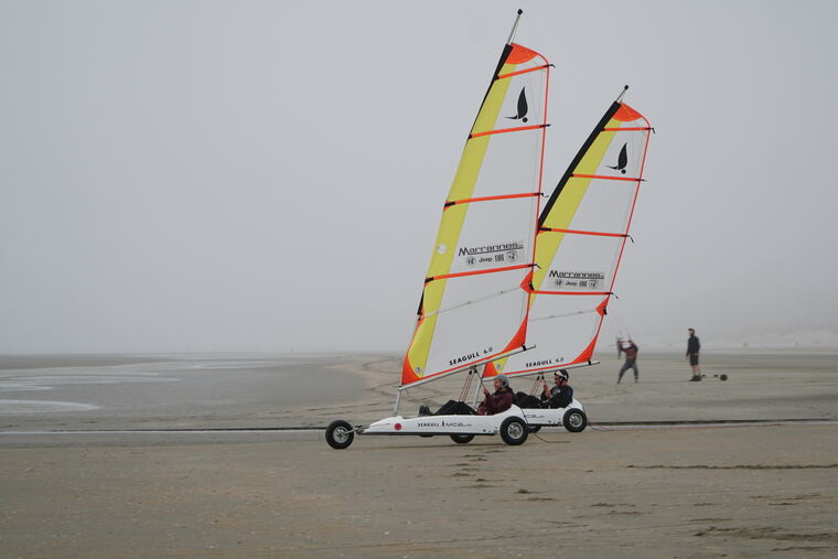 dsc08109.jpg